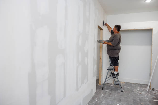 Best Mold Damage Restoration  in Wills Point, TX