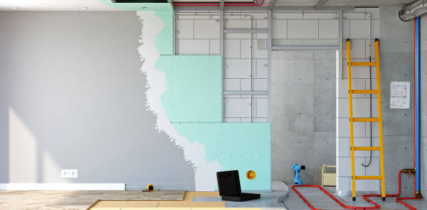  Wills Point, TX Mold Removal Pros
